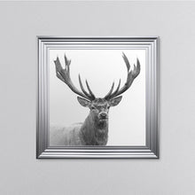 Load image into Gallery viewer, White Stag Framed Wall Art