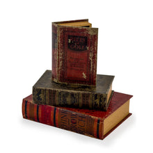Load image into Gallery viewer, Antique Book Set of 3 Storage Boxes
