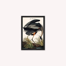 Load image into Gallery viewer, Luxury Velvet Art Print - Vintage Birds -Blue Heron Framed Wall Art
