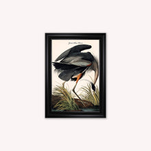 Load image into Gallery viewer, Luxury Velvet Art Print - Vintage Birds -Blue Heron Framed Wall Art
