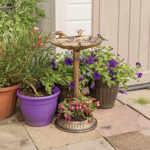 Load image into Gallery viewer, Bird bath surrounded by potted plants with flowers on a patio
