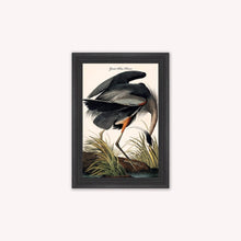 Load image into Gallery viewer, Luxury Velvet Art Print - Vintage Birds -Blue Heron Framed Wall Art
