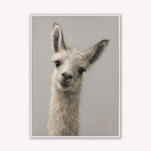 Load image into Gallery viewer, Curious Llama Framed Velvet Canvas Art
