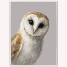Load image into Gallery viewer, Close-up of a barn owl on a gray background
