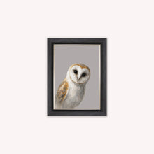 Load image into Gallery viewer, Curious Owl Framed Wall Art
