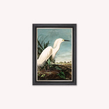 Load image into Gallery viewer, Luxury Velvet Art Print - Vintage Birds - Snowy Heron Framed Wall Art
