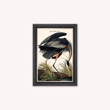 Load image into Gallery viewer, Luxury Velvet Art Print - Vintage Birds -Blue Heron Framed Wall Art
