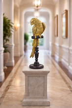 Load image into Gallery viewer, Gold parrot statue on a pedestal in a hallway
