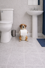 Load image into Gallery viewer, Dog holding toilet paper in a bathroom
