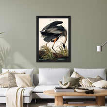 Load image into Gallery viewer, Luxury Velvet Art Print - Vintage Birds -Blue Heron Framed Wall Art
