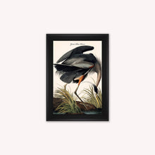Load image into Gallery viewer, Luxury Velvet Art Print - Vintage Birds -Blue Heron Framed Wall Art
