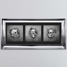 Load image into Gallery viewer, Three Wise Skulls Triptych Framed Wall Art
