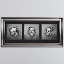 Load image into Gallery viewer, Three Wise Skulls Triptych Framed Wall Art
