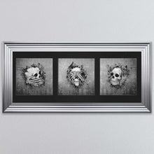 Load image into Gallery viewer, Three Wise Skulls Triptych Framed Wall Art
