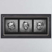 Load image into Gallery viewer, Three Wise Skulls Triptych Framed Wall Art

