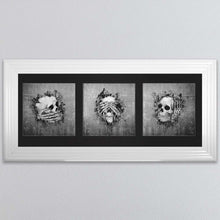 Load image into Gallery viewer, Three Wise Skulls Triptych Framed Wall Art
