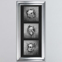 Load image into Gallery viewer, Three Wise Skulls Triptych Framed Wall Art
