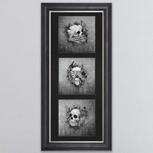 Load image into Gallery viewer, Three Wise Skulls Triptych Framed Wall Art
