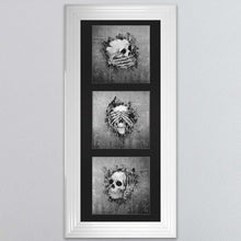 Load image into Gallery viewer, Three Wise Skulls Triptych Framed Wall Art
