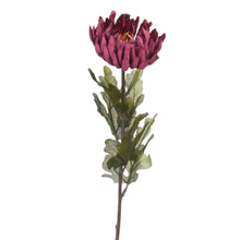 Load image into Gallery viewer, Spider Chrysanthemum Flower Single Stem
