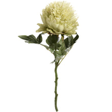 Load image into Gallery viewer, Green Peony Single Stem
