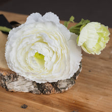 Load image into Gallery viewer, White Ranunculus Single Stem
