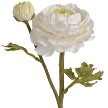 Load image into Gallery viewer, White Ranunculus Single Stem

