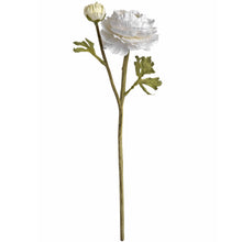Load image into Gallery viewer, White Ranunculus Single Stem
