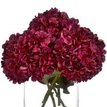 Load image into Gallery viewer, Autumn Ruby Hydrangea Single Stem
