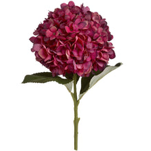 Load image into Gallery viewer, Autumn Ruby Hydrangea Single Stem
