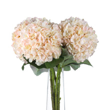 Load image into Gallery viewer, Autumn White Hydrangea Single Stem

