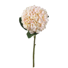 Load image into Gallery viewer, Autumn White Hydrangea Single Stem
