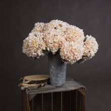 Load image into Gallery viewer, Autumn White Hydrangea Single Stem
