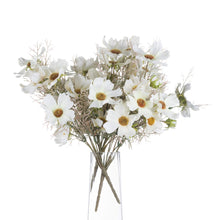 Load image into Gallery viewer, Cream Cosmos Spray Single Stem
