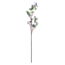 Load image into Gallery viewer, Viburnum Berry Single Stem
