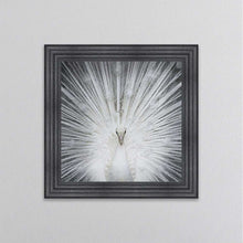 Load image into Gallery viewer, Albino Peacock framed wall art
