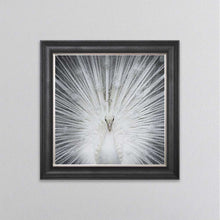 Load image into Gallery viewer, Albino Peacock framed wall art
