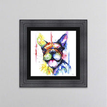 Load image into Gallery viewer, Multicoloured French Bulldog Framed Wall Art
