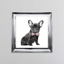 Load image into Gallery viewer, Black Frenchie Wearing A Pink Bow Tie Framed Wall Art
