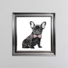 Load image into Gallery viewer, Black Frenchie Wearing A Pink Bow Tie Framed Wall Art
