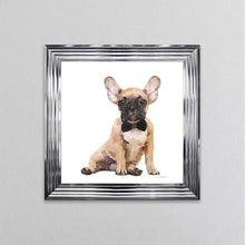 Load image into Gallery viewer, Brown Frenchie Wearing A Black Bow Tie Framed Wall Art

