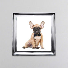 Load image into Gallery viewer, Brown Frenchie Wearing A Black Bow Tie Framed Wall Art
