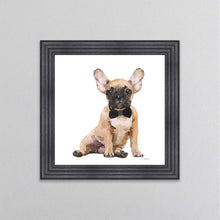 Load image into Gallery viewer, Brown Frenchie Wearing A Black Bow Tie Framed Wall Art
