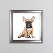 Load image into Gallery viewer, Brown Frenchie Wearing A Black Bow Tie Framed Wall Art
