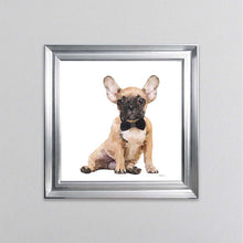 Load image into Gallery viewer, Brown Frenchie Wearing A Black Bow Tie Framed Wall Art
