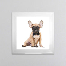 Load image into Gallery viewer, Brown Frenchie Wearing A Black Bow Tie Framed Wall Art

