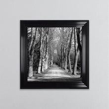Load image into Gallery viewer, Monochrome Path Framed Wall Art
