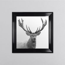 Load image into Gallery viewer, White Stag Framed Wall Art
