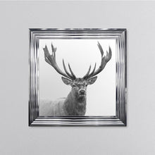 Load image into Gallery viewer, White Stag Framed Wall Art
