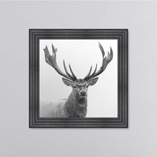 Load image into Gallery viewer, White Stag Framed Wall Art
